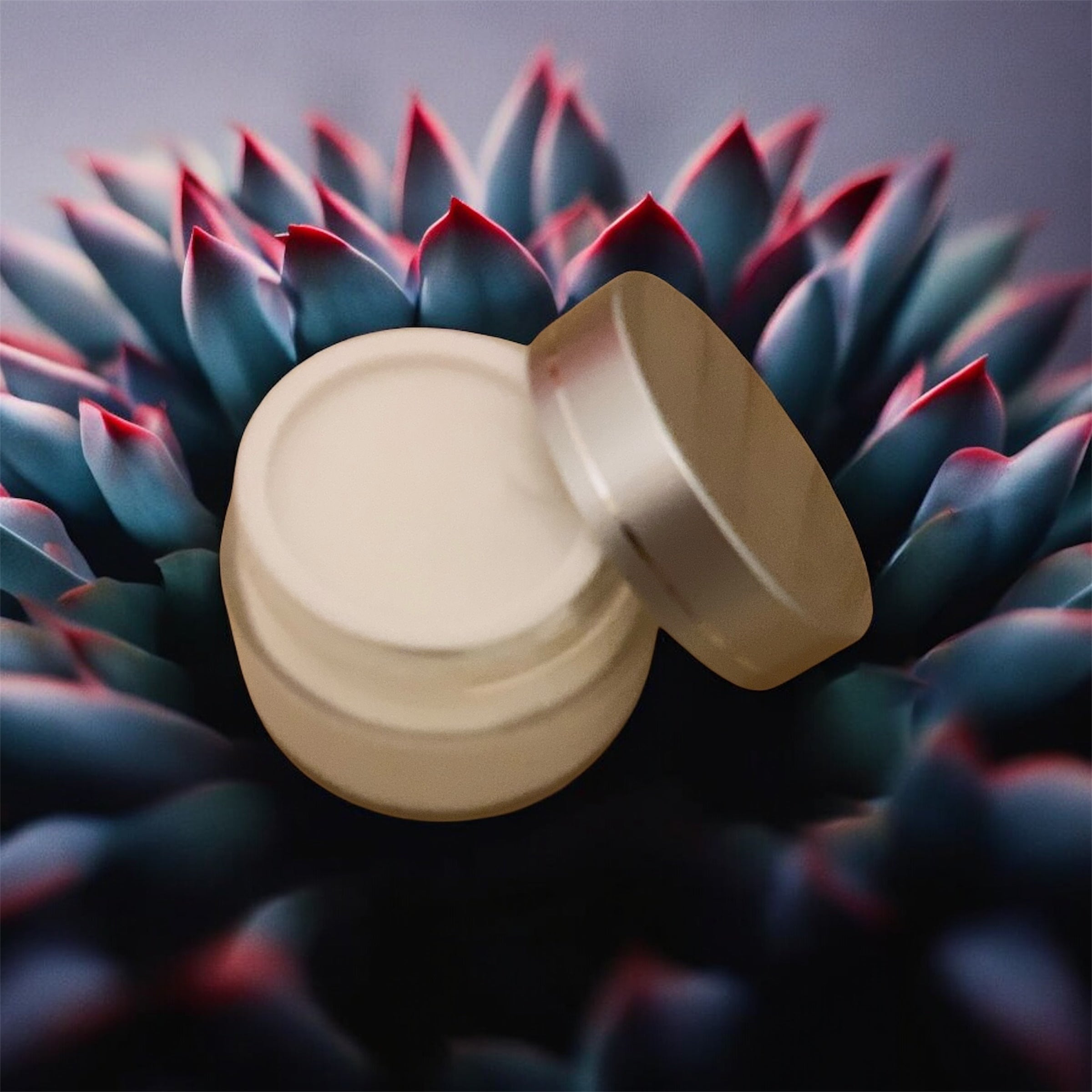 Sacred Waters Hydrating Face Cream 50g